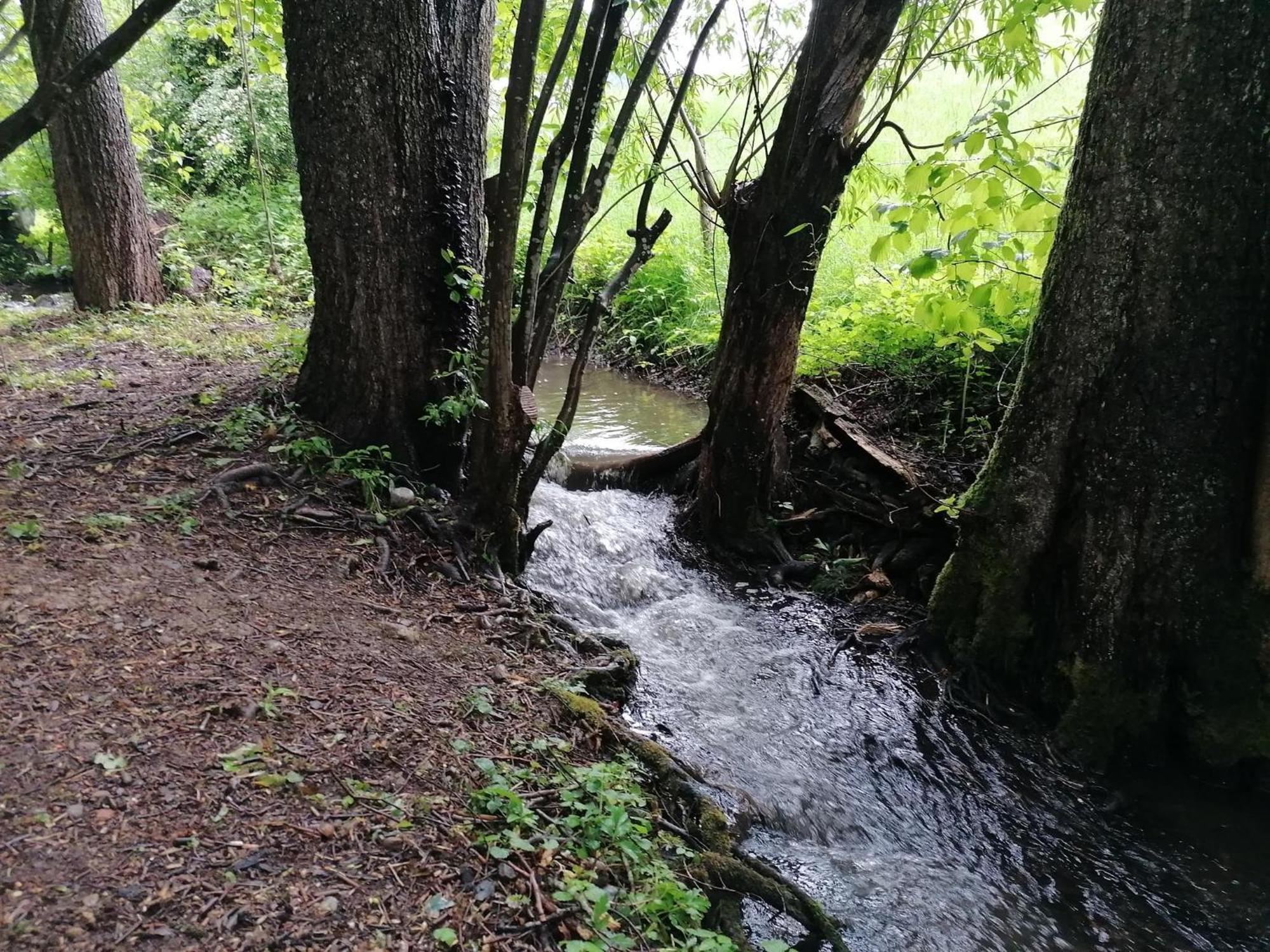 Ferienwohnung "Am Seebach" Wangen im Allgäu Esterno foto